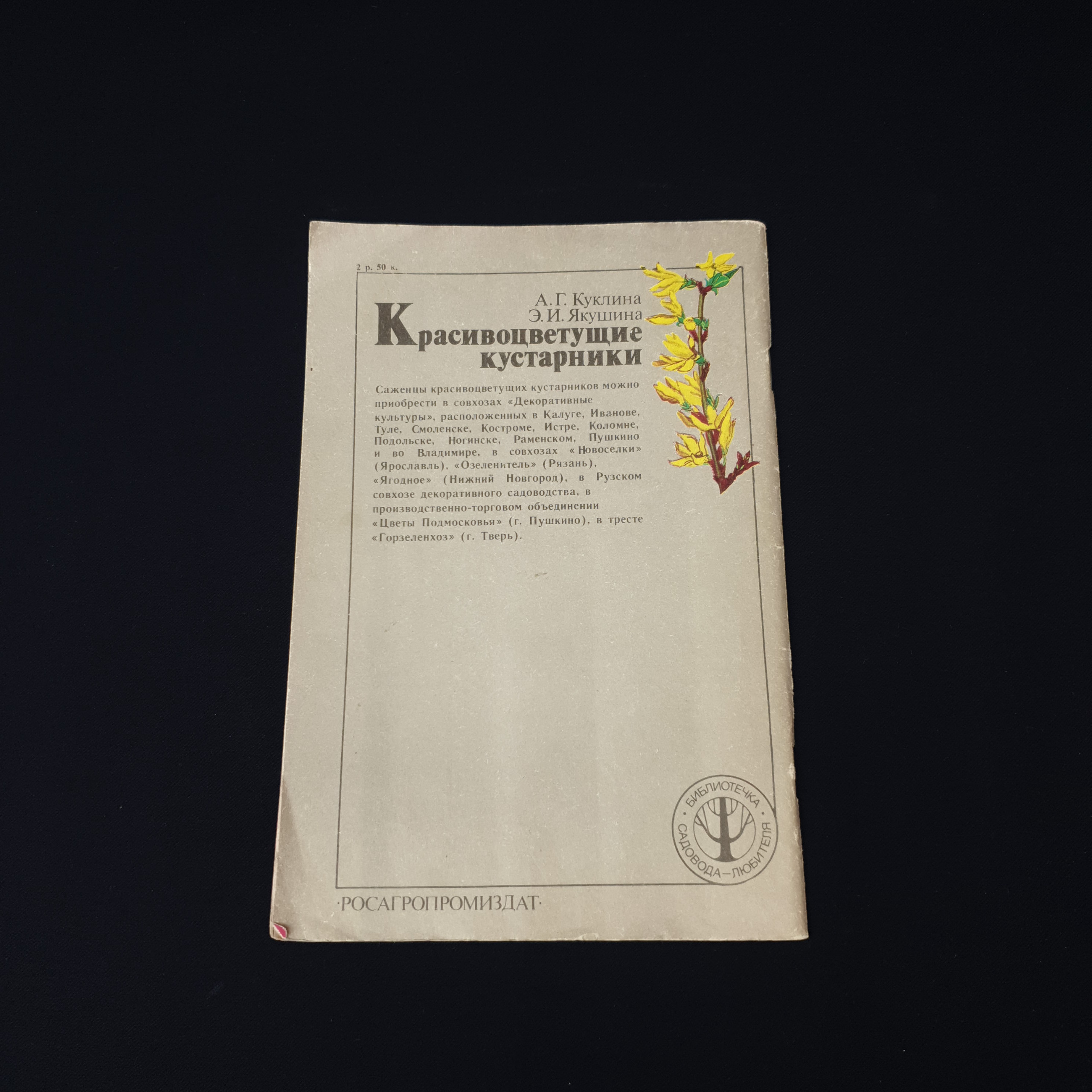 Картинка 2