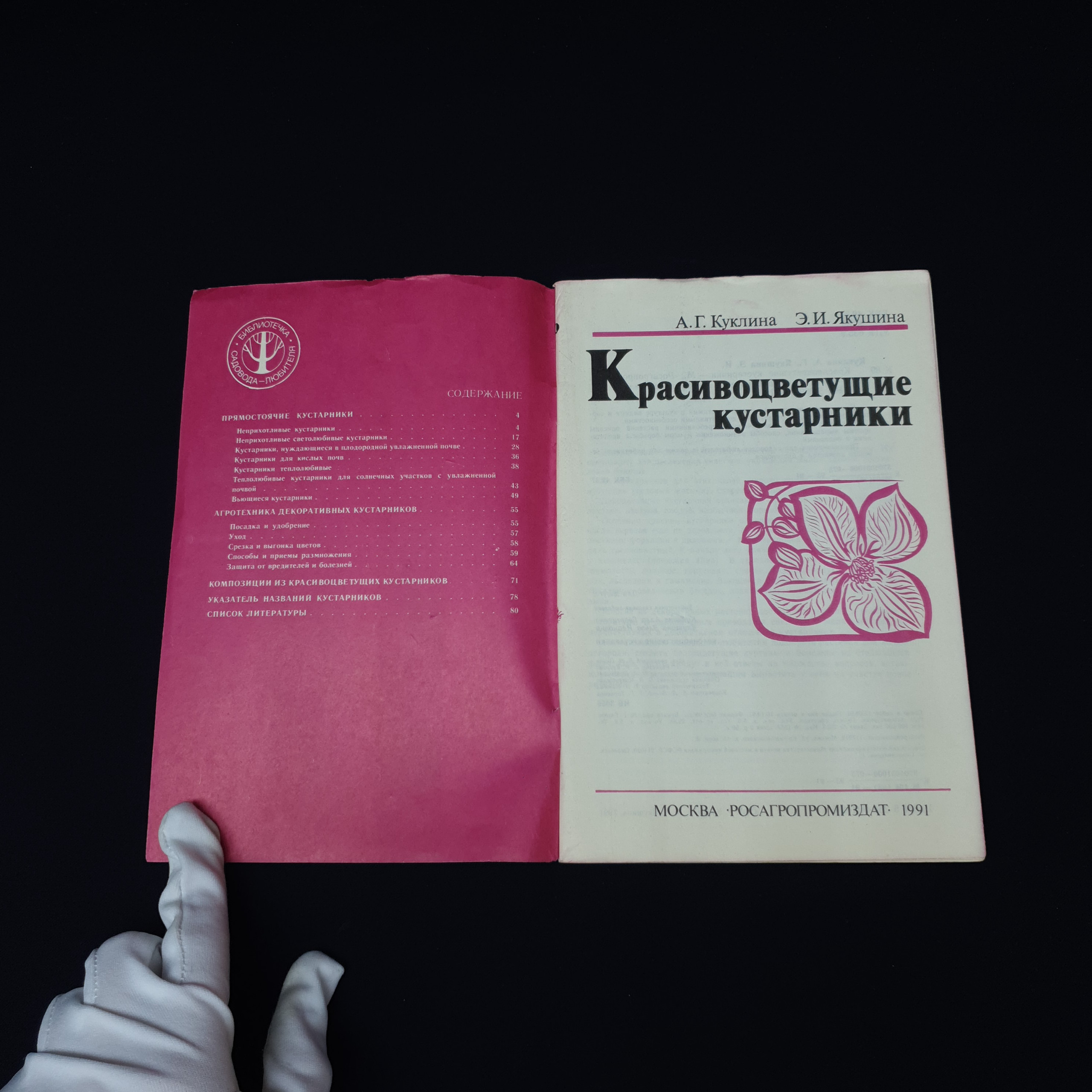 Картинка 3