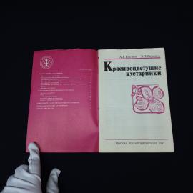 Картинка 3