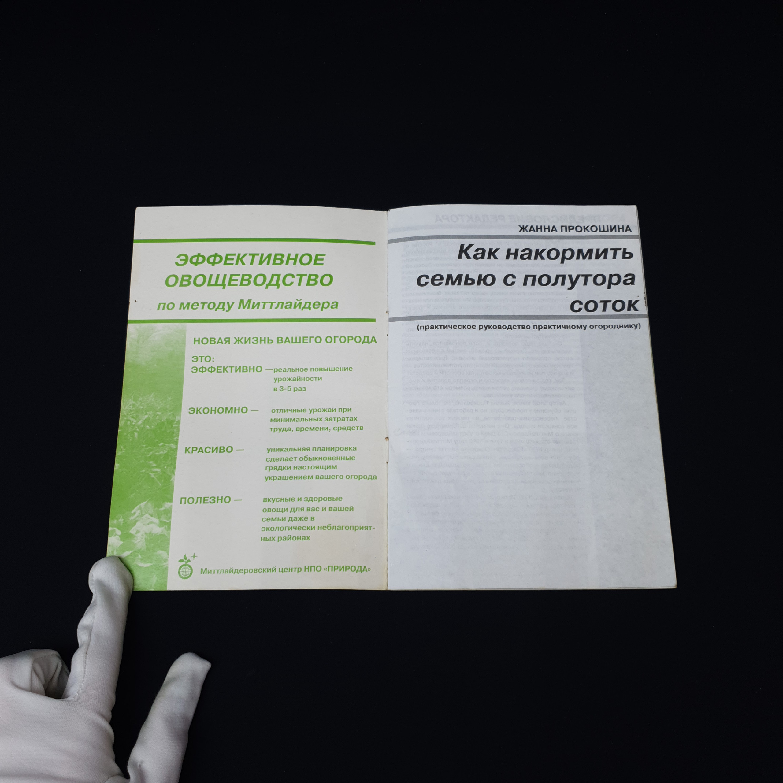 Картинка 3