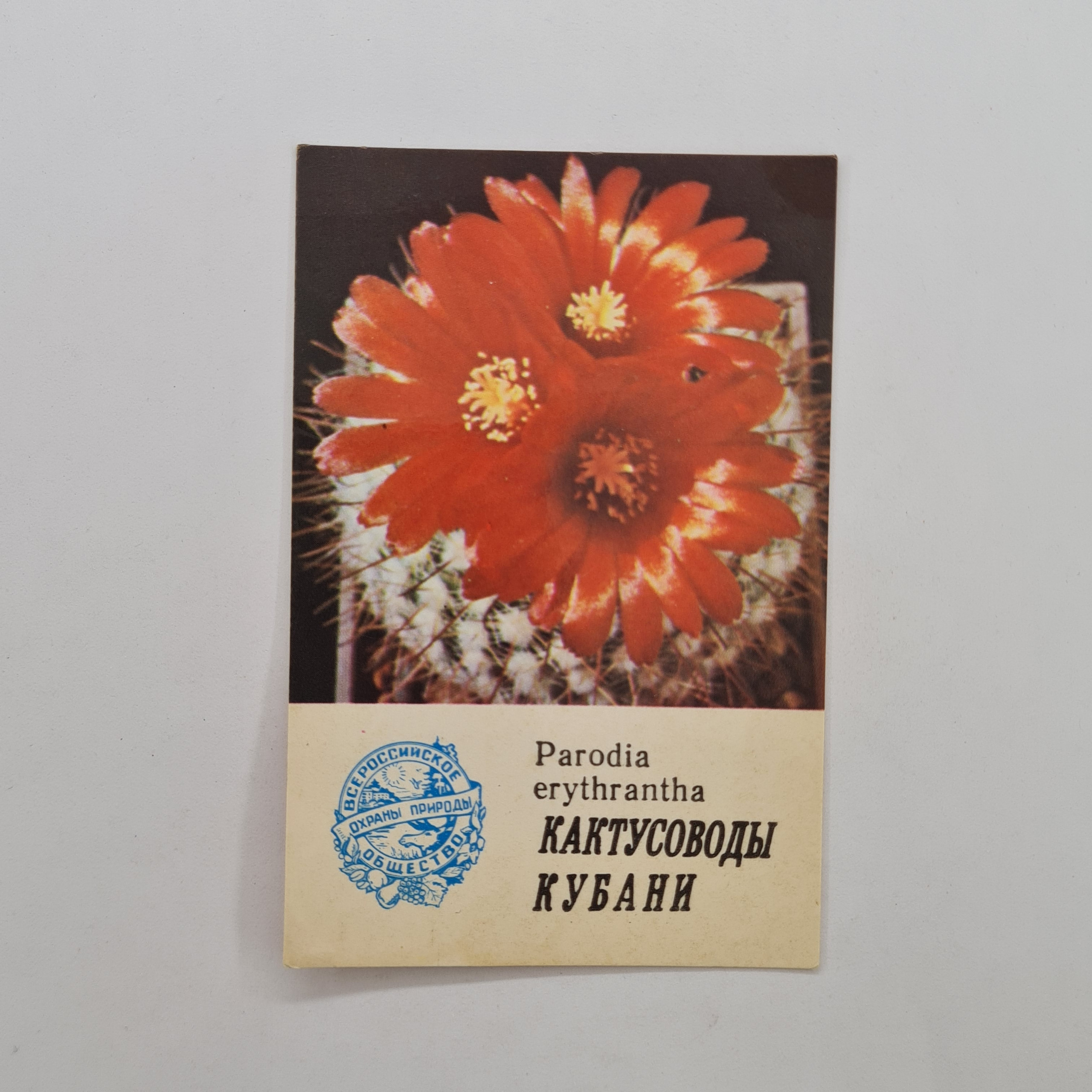 Картинка 1