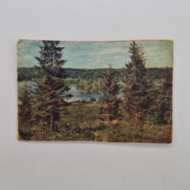 Картинка 1