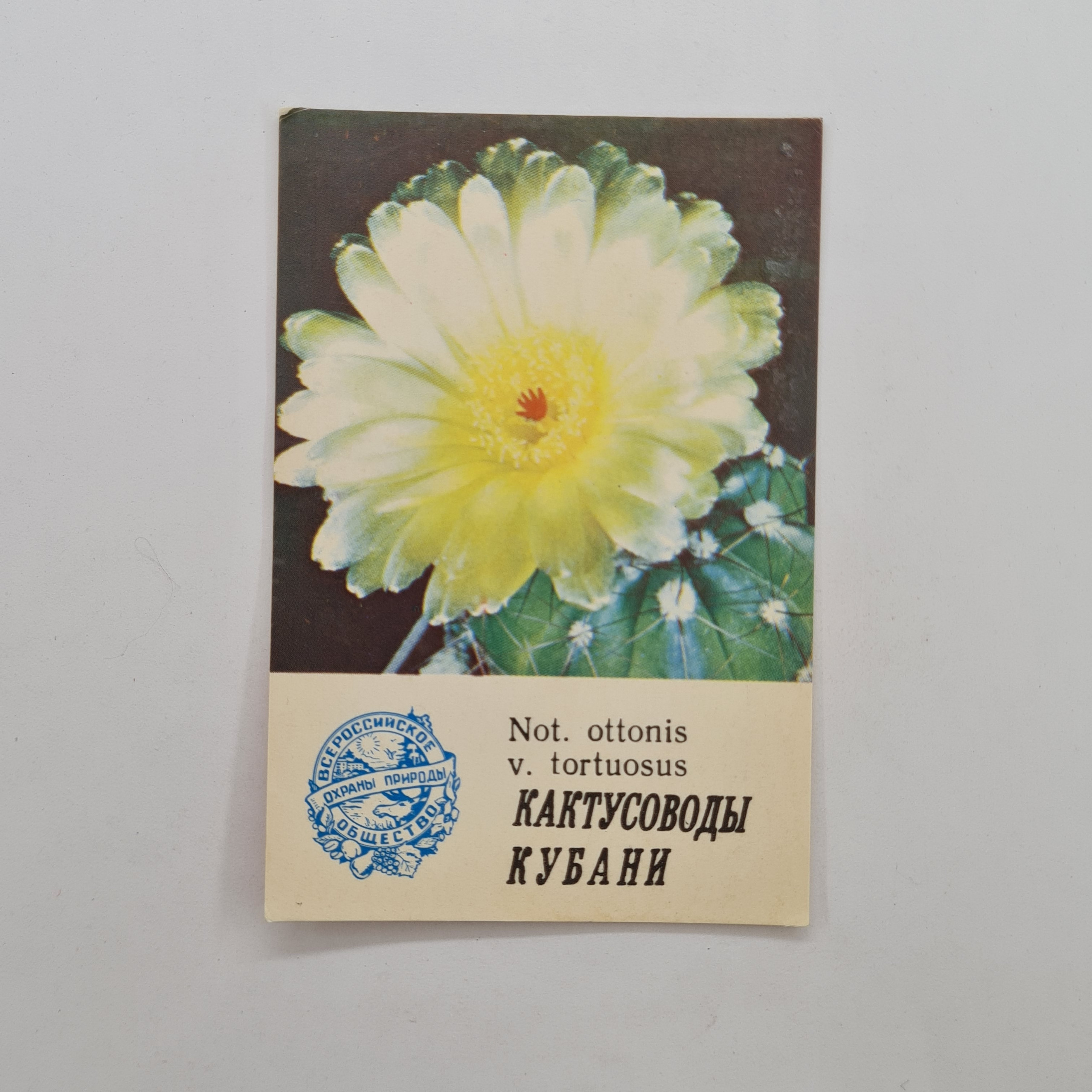 Картинка 1