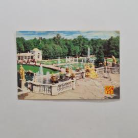 Картинка 1