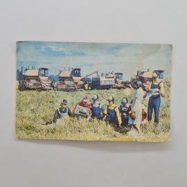 Картинка 1