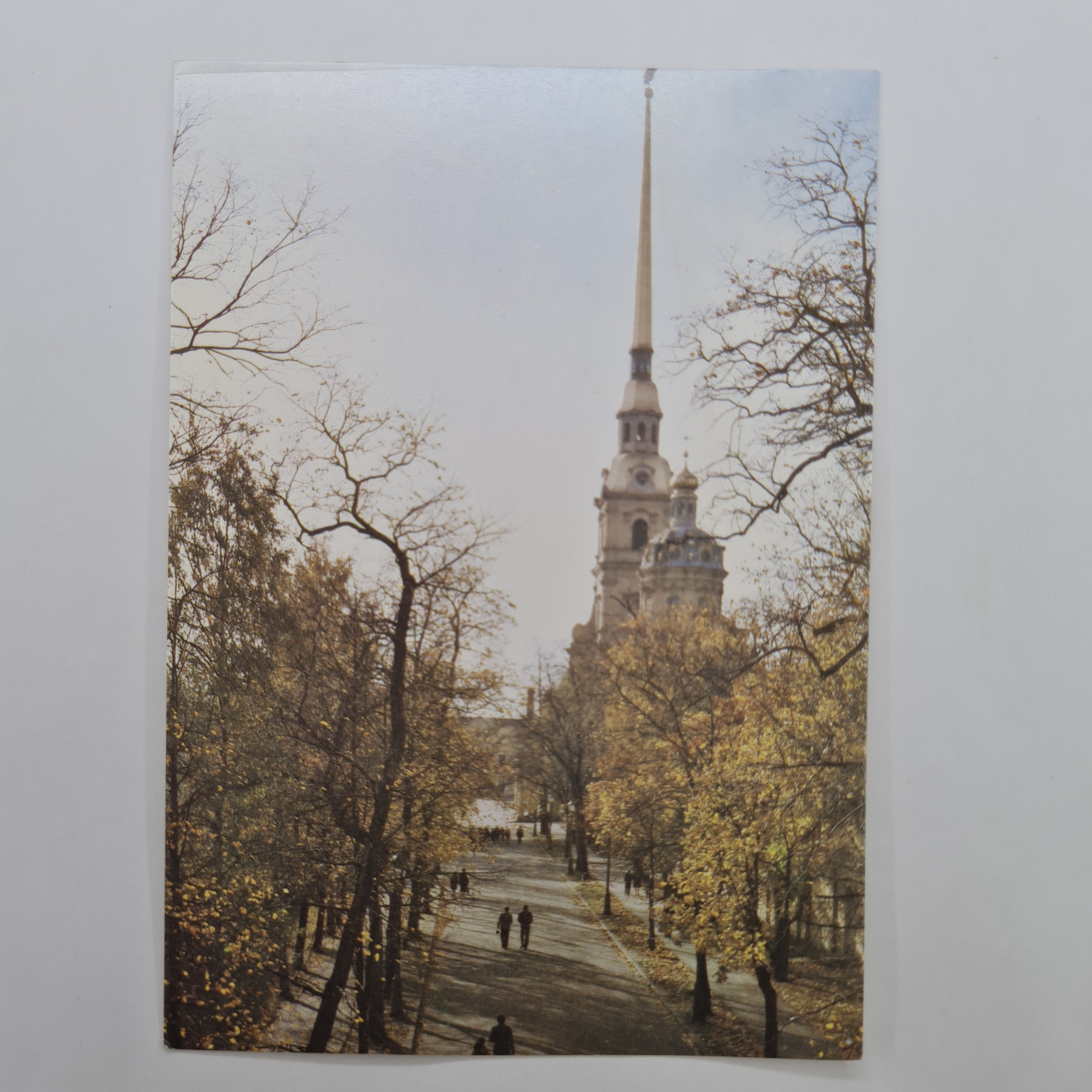 Картинка 1