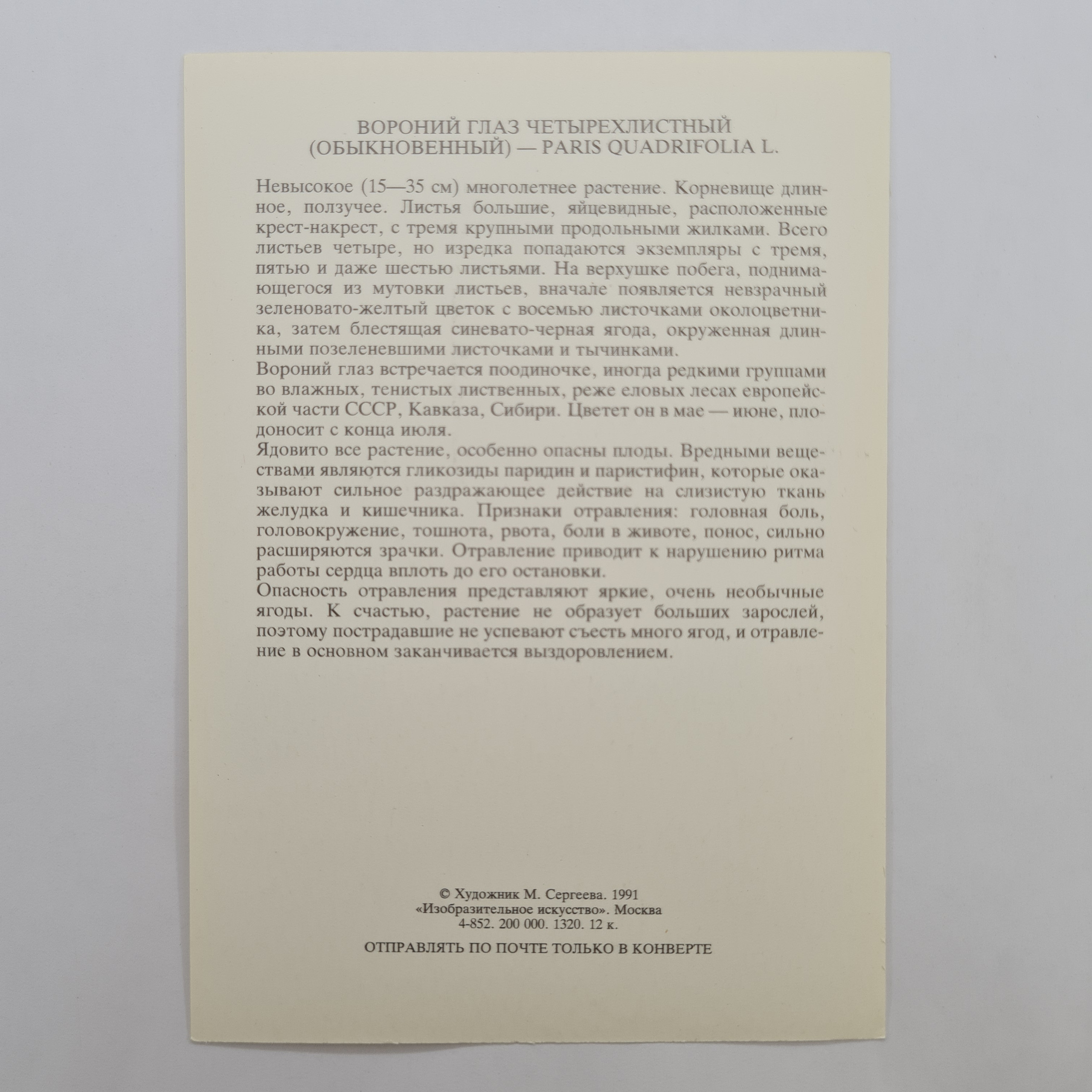 Картинка 2