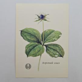 Картинка 1