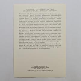 Картинка 2