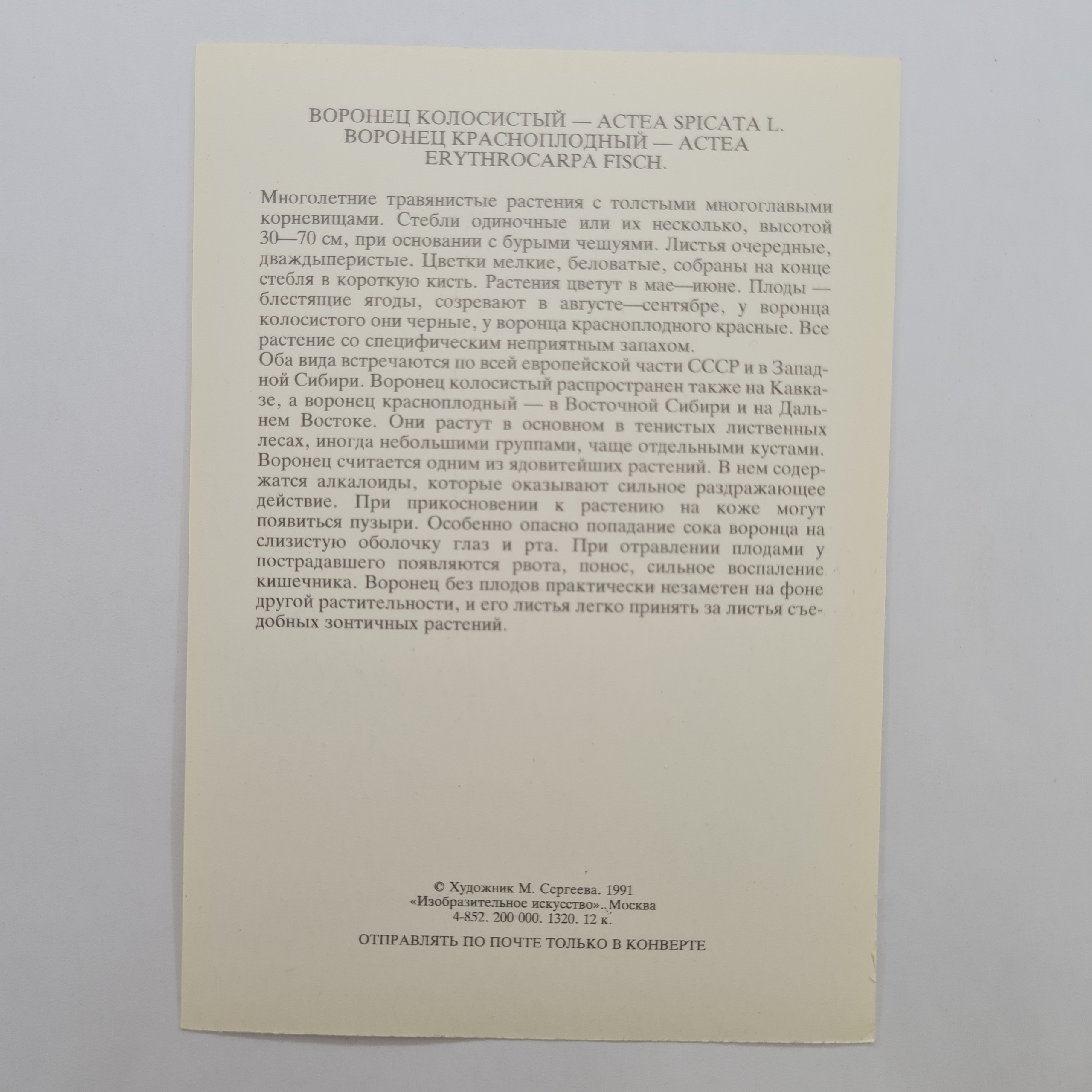 Картинка 2