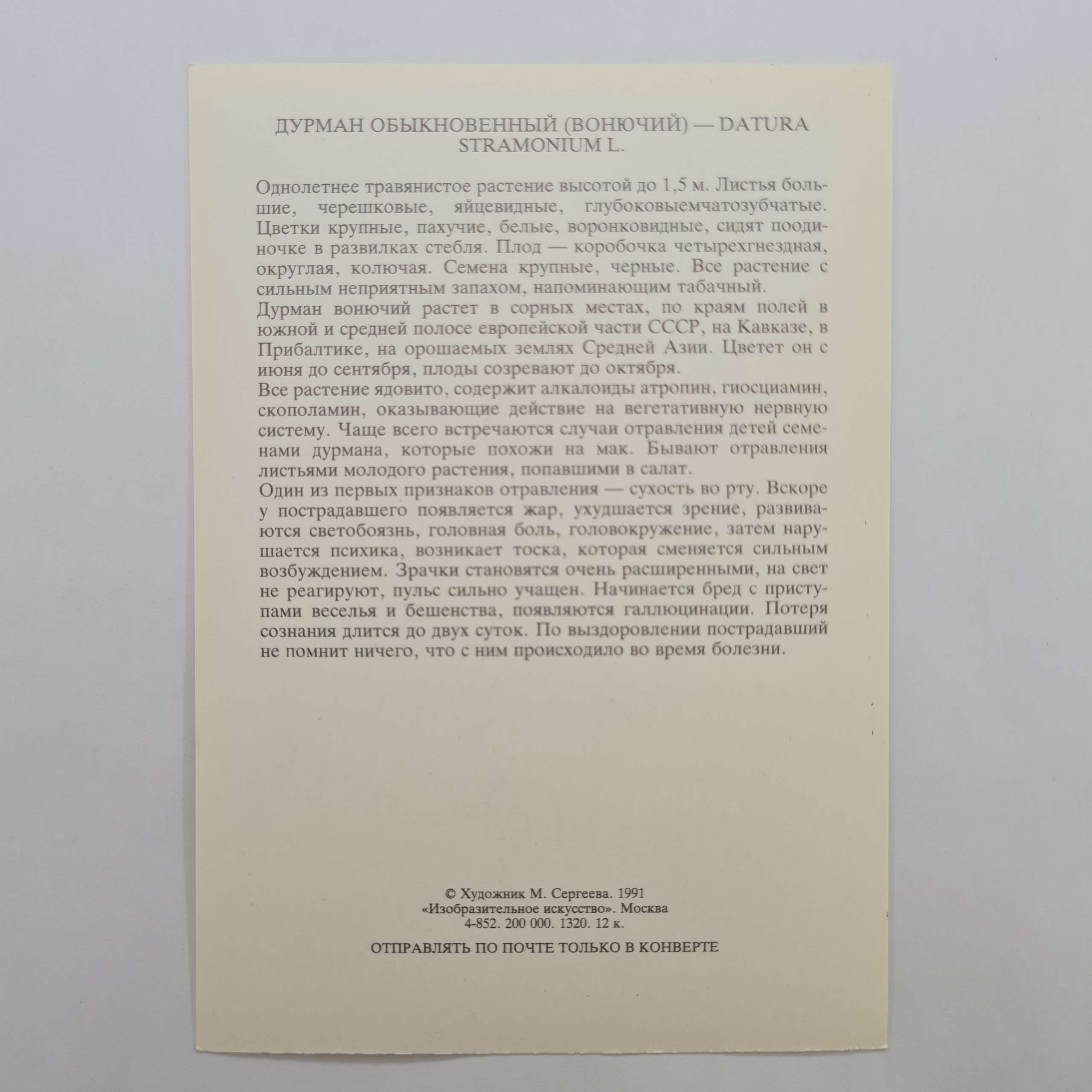 Картинка 2
