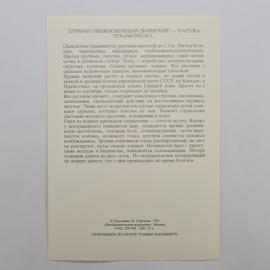 Картинка 2