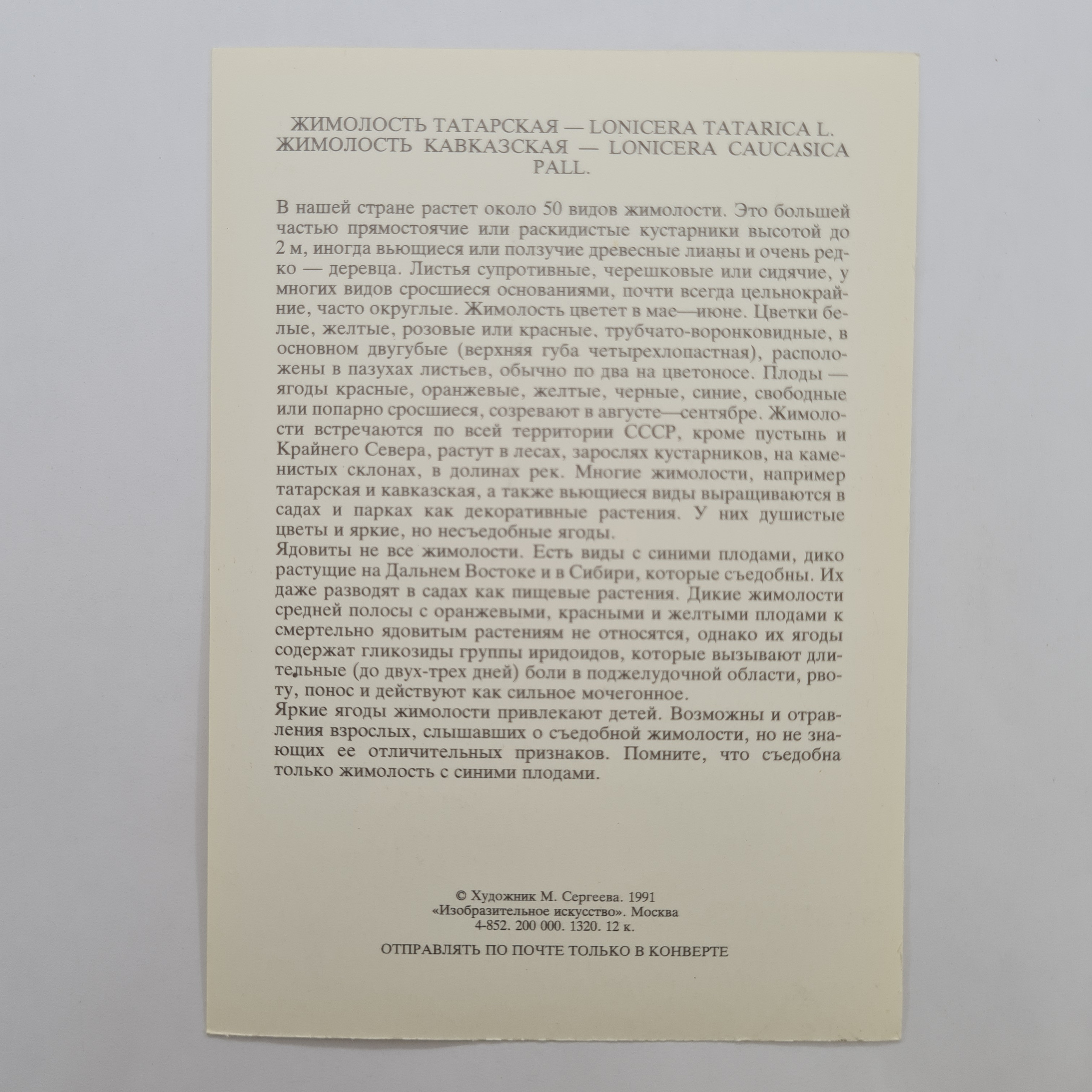 Картинка 2