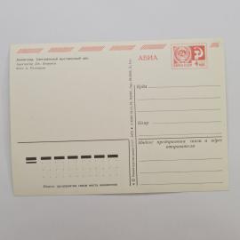 Картинка 2