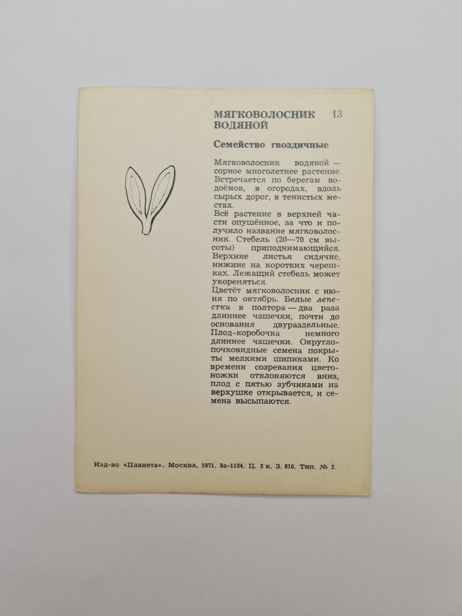 Картинка 2