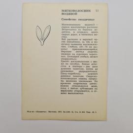 Картинка 2