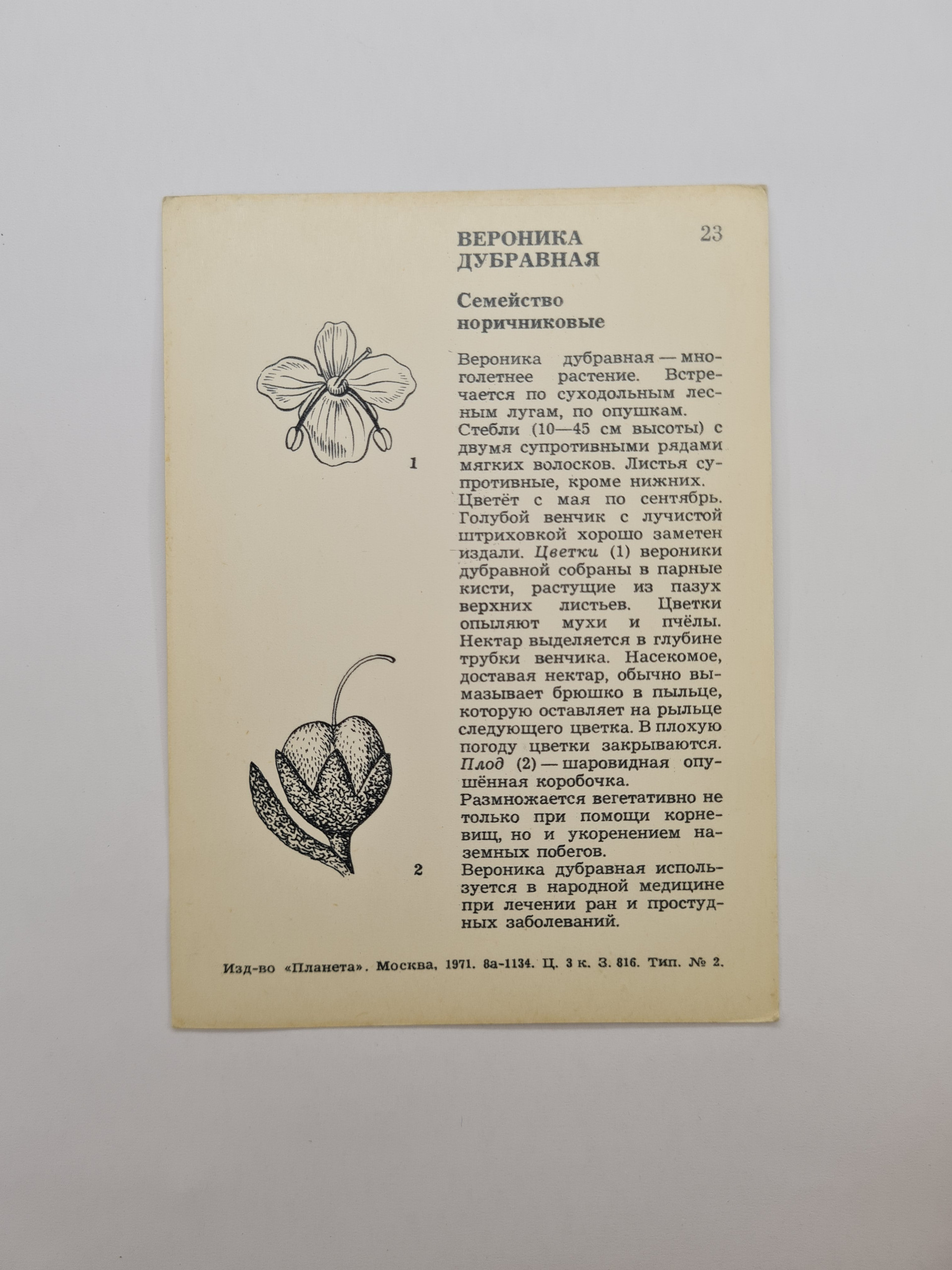 Картинка 2