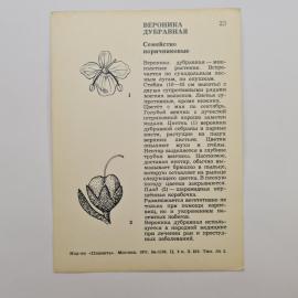 Картинка 2