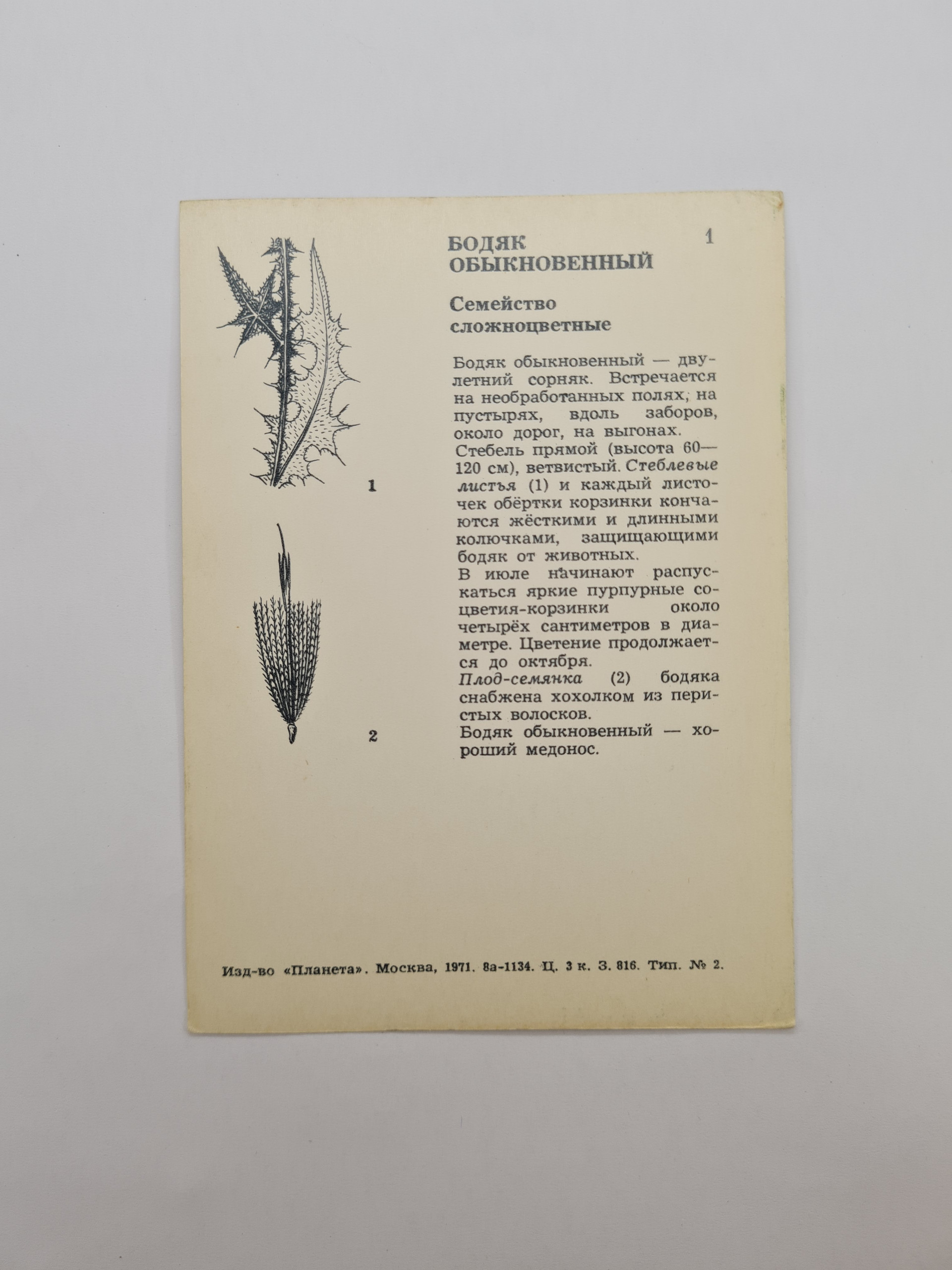 Картинка 2