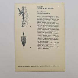 Картинка 2