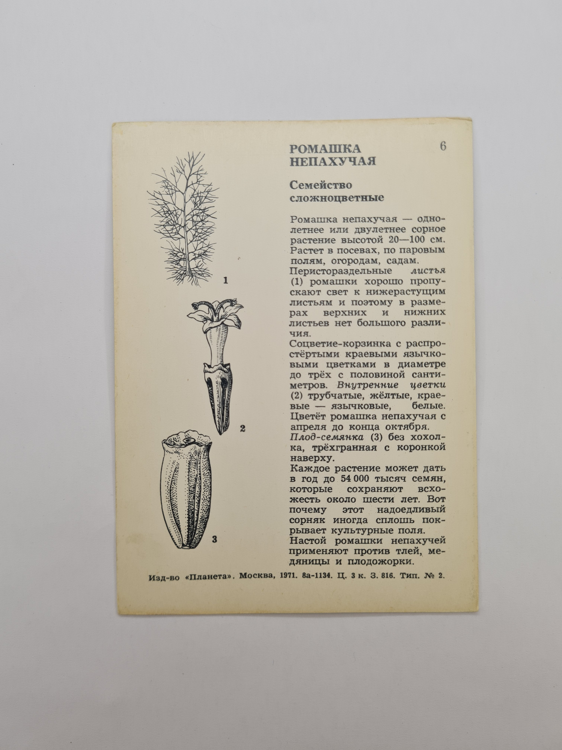 Картинка 2