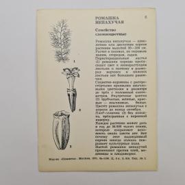 Картинка 2