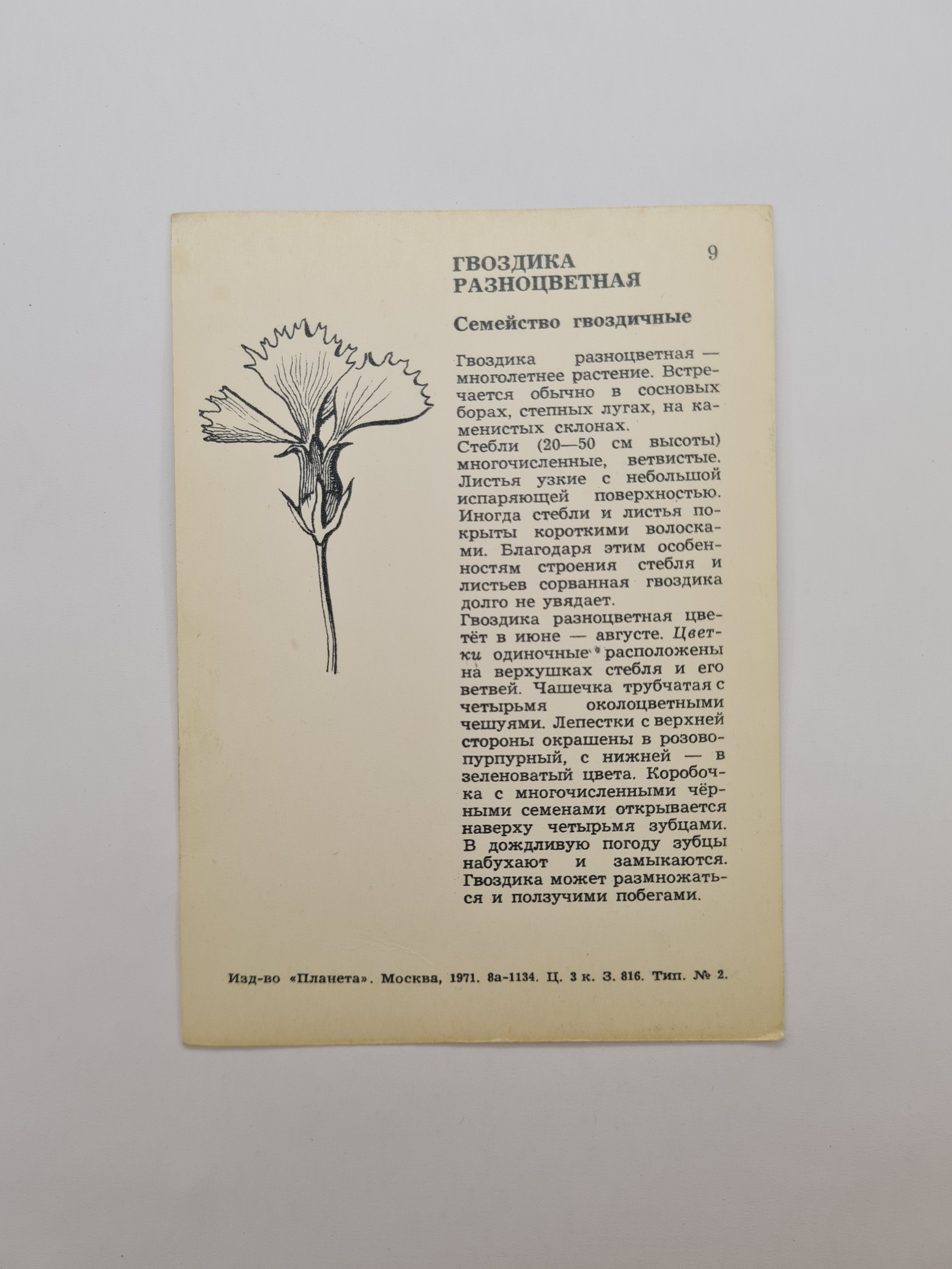 Картинка 2