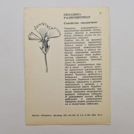 Картинка 2