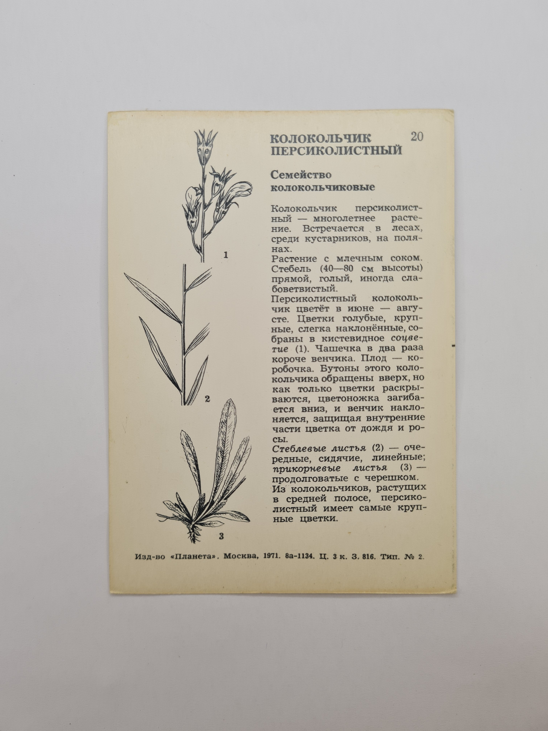 Картинка 2