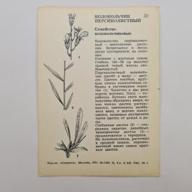 Картинка 2