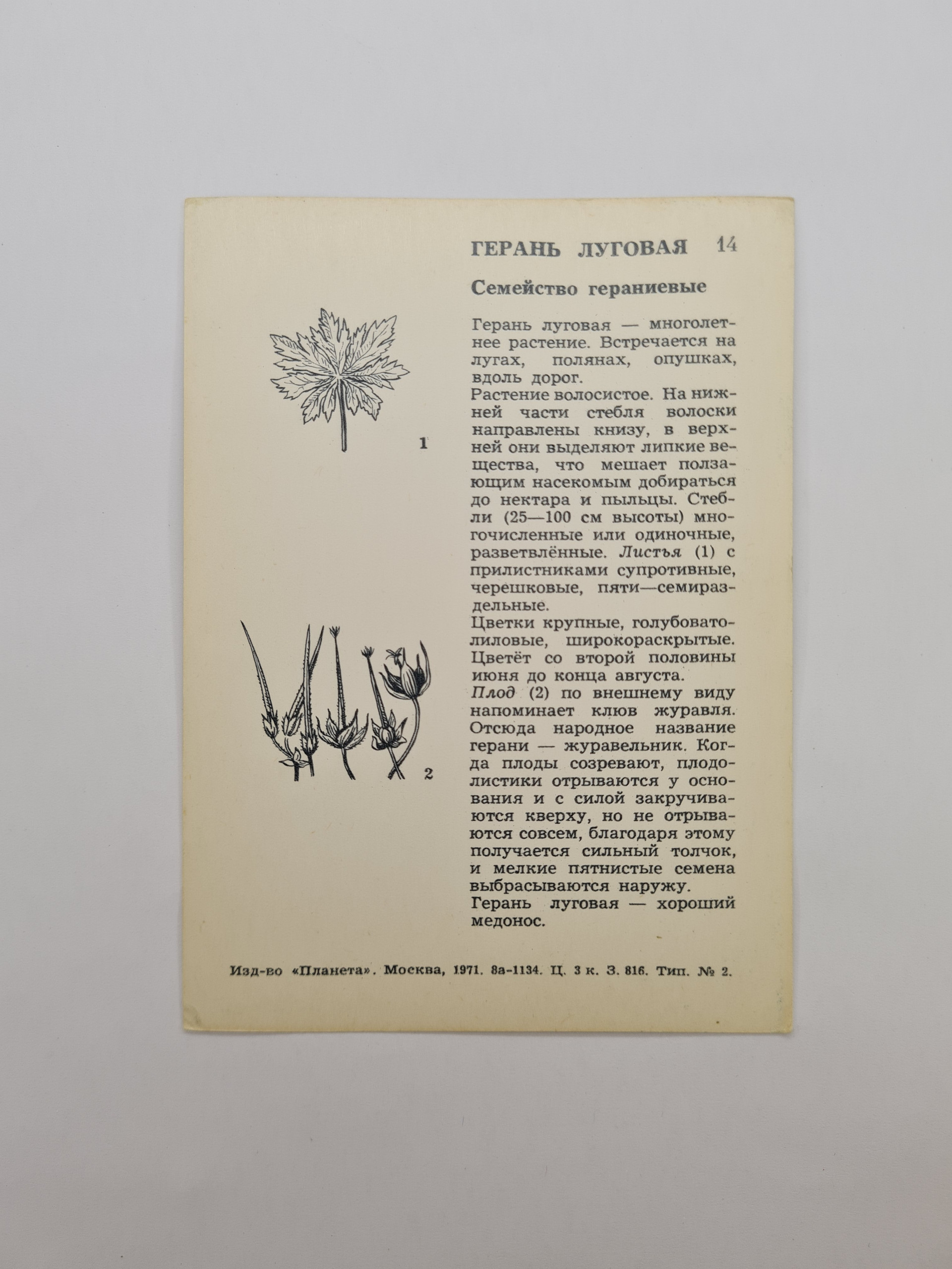Картинка 2