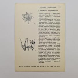Картинка 2