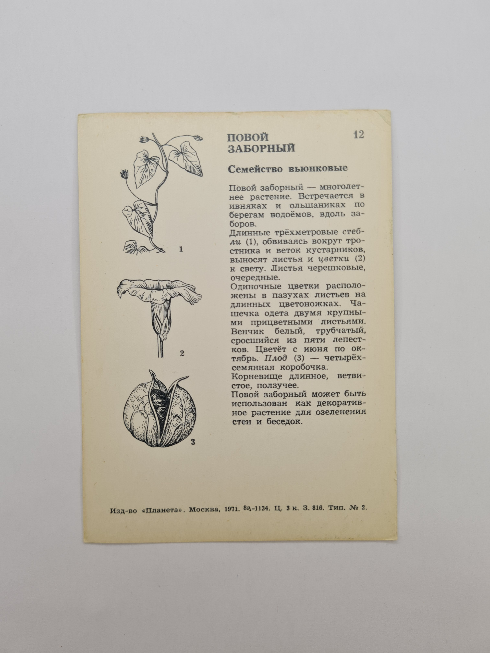 Картинка 2