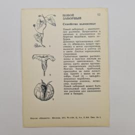 Картинка 2