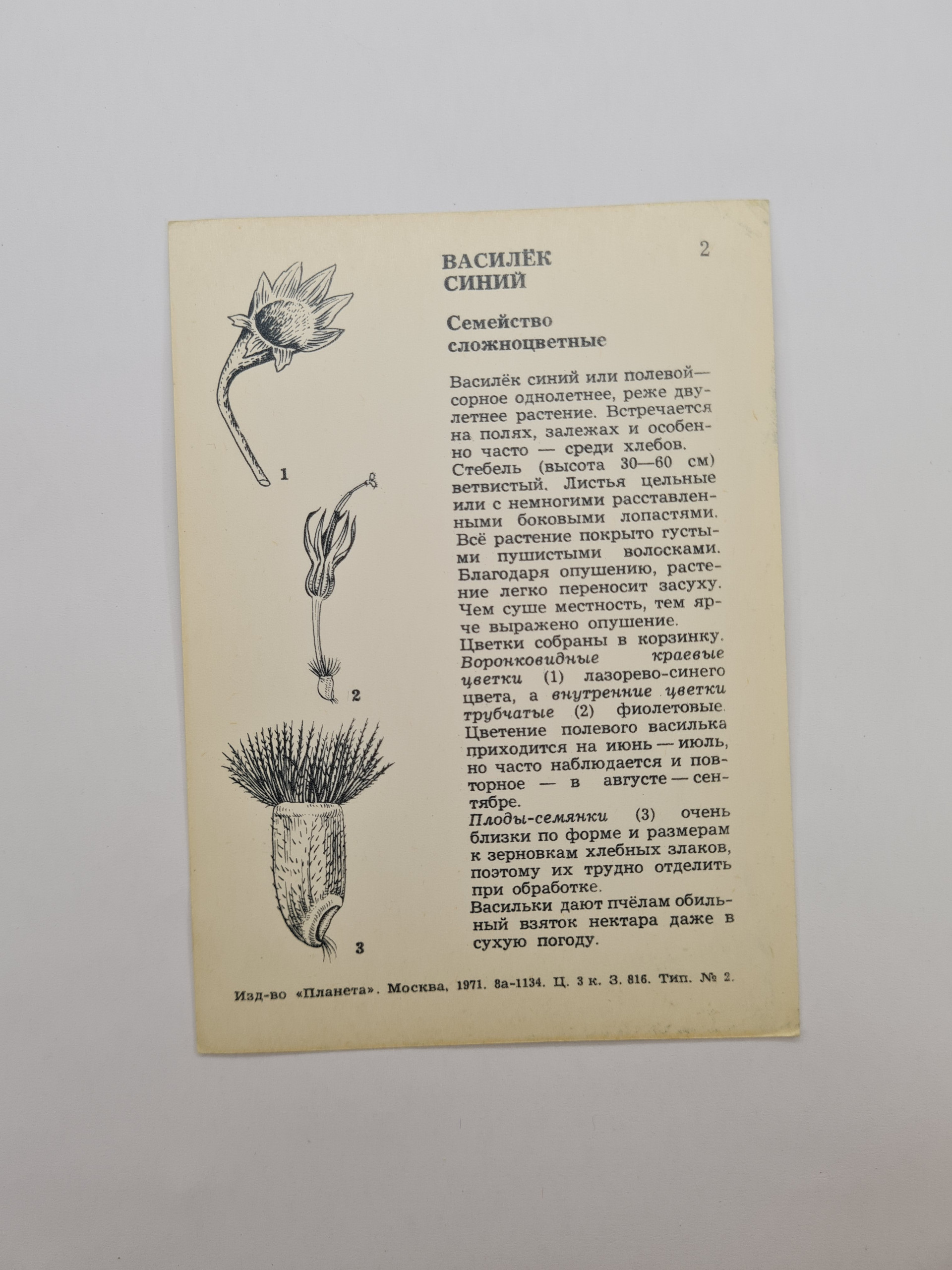 Картинка 2