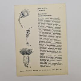 Картинка 2