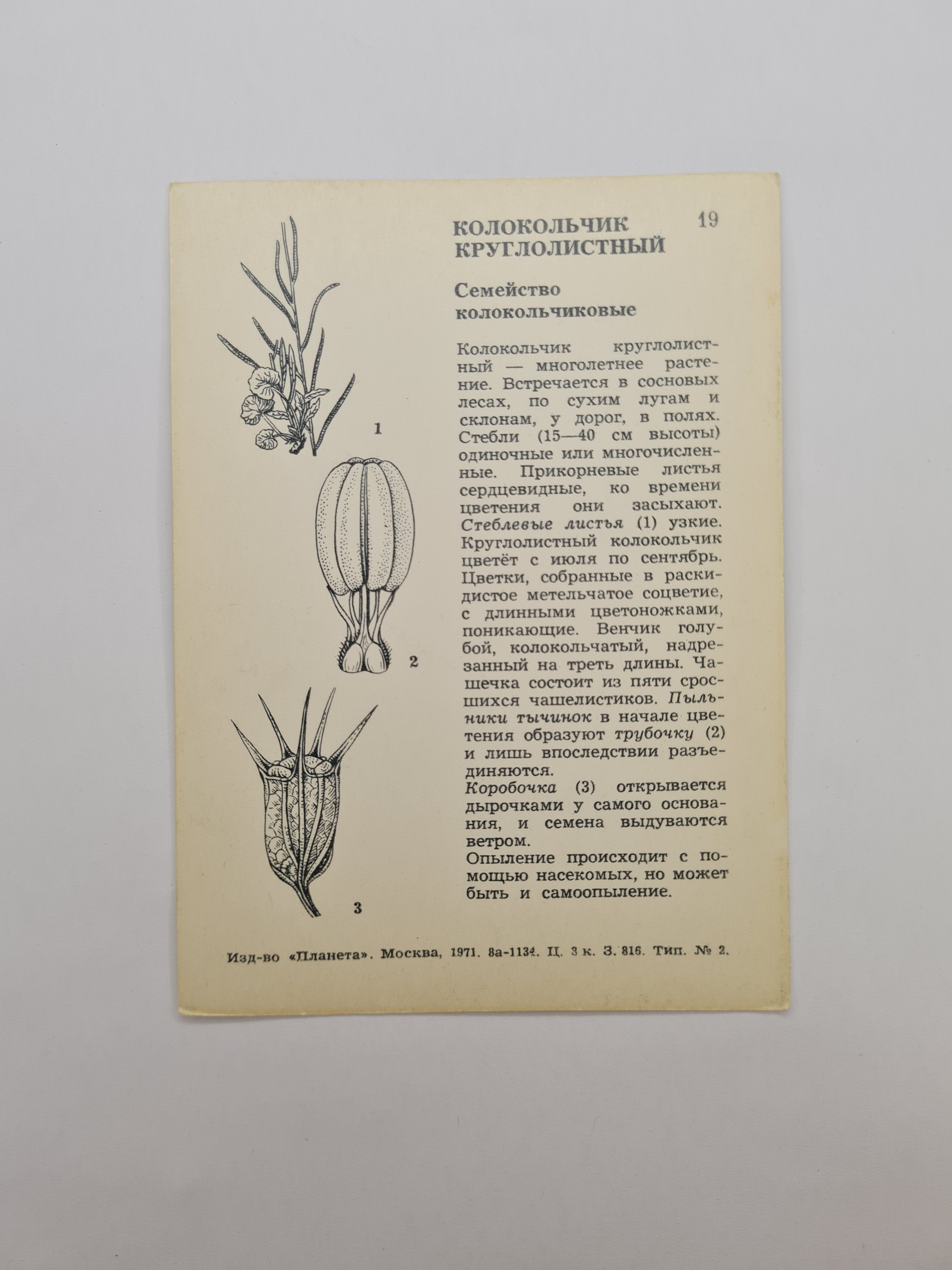 Картинка 2