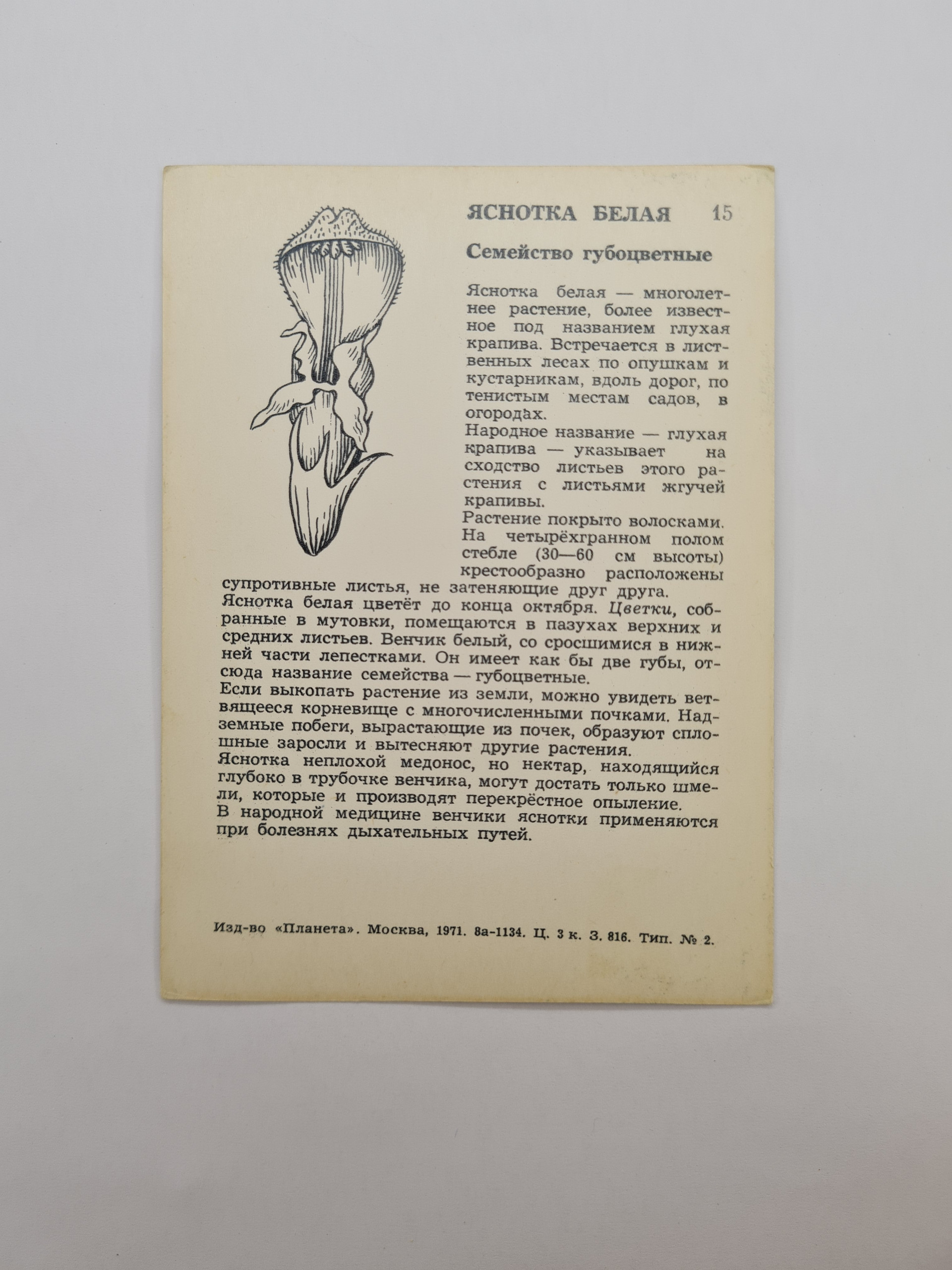 Картинка 2