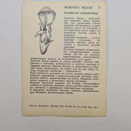 Картинка 2