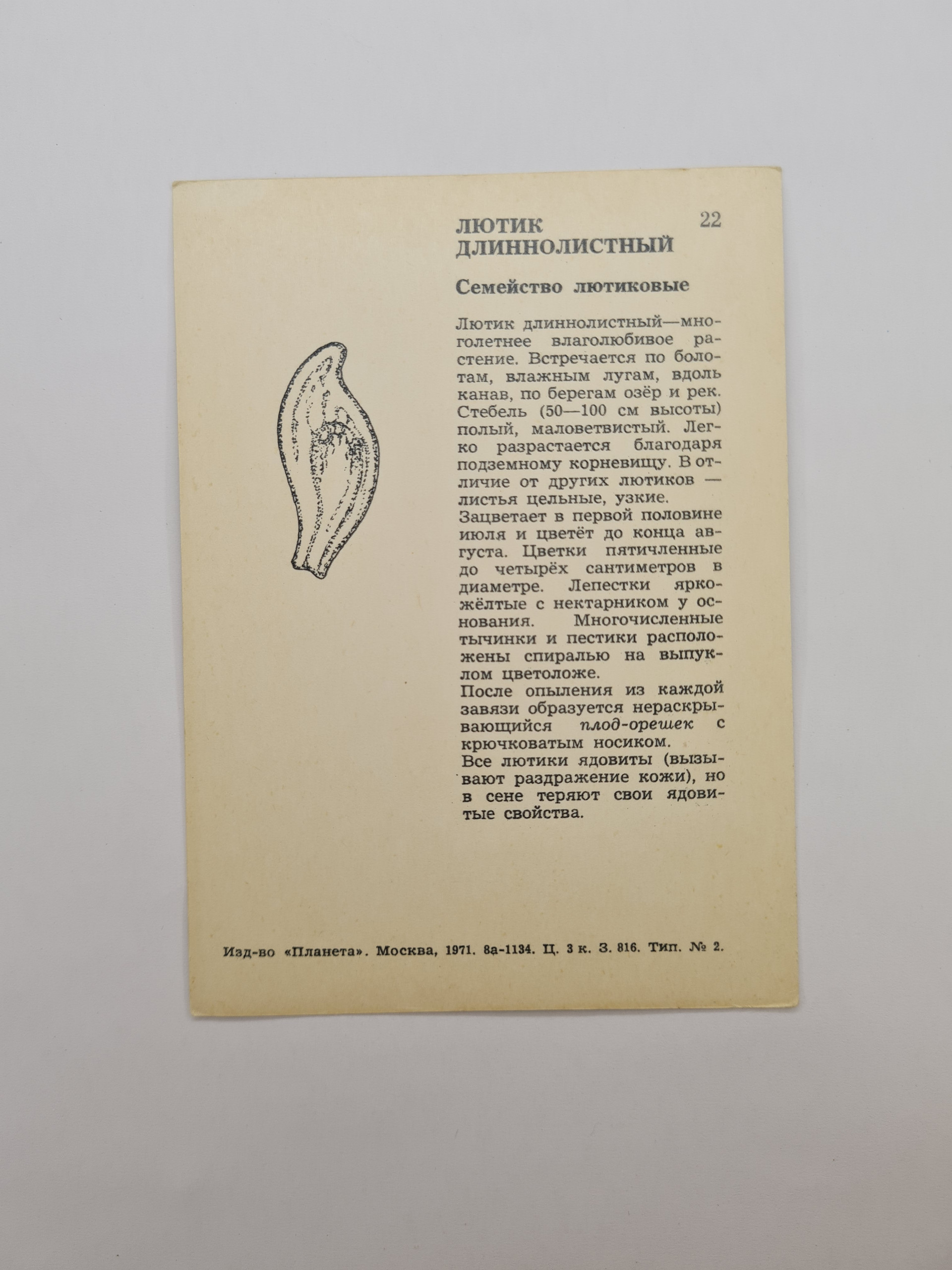 Картинка 2