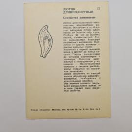 Картинка 2