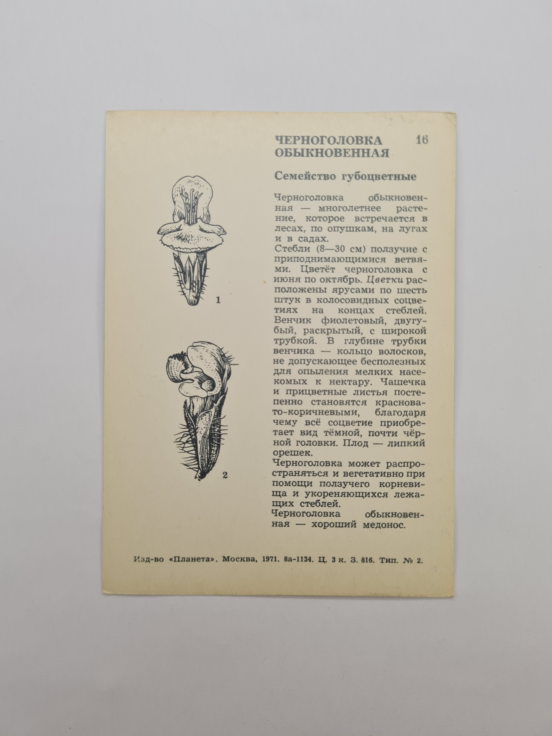 Картинка 2