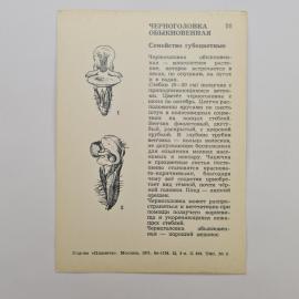 Картинка 2