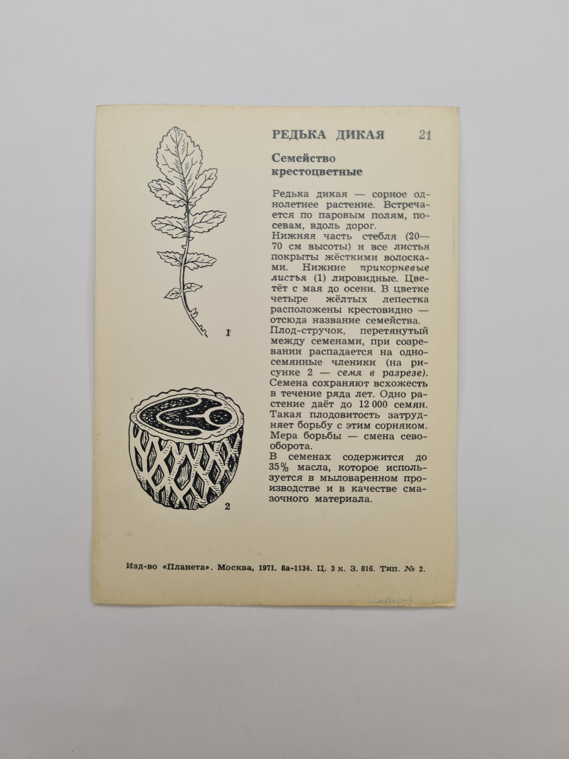 Картинка 2