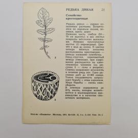 Картинка 2