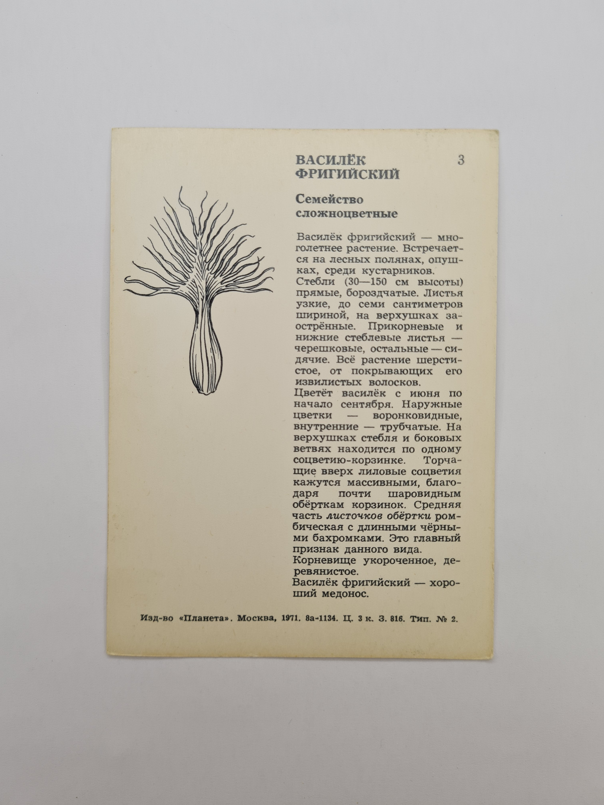 Картинка 2
