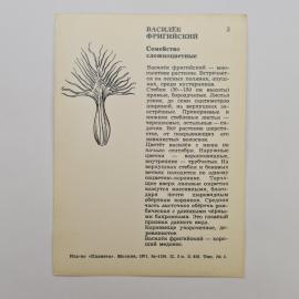 Картинка 2