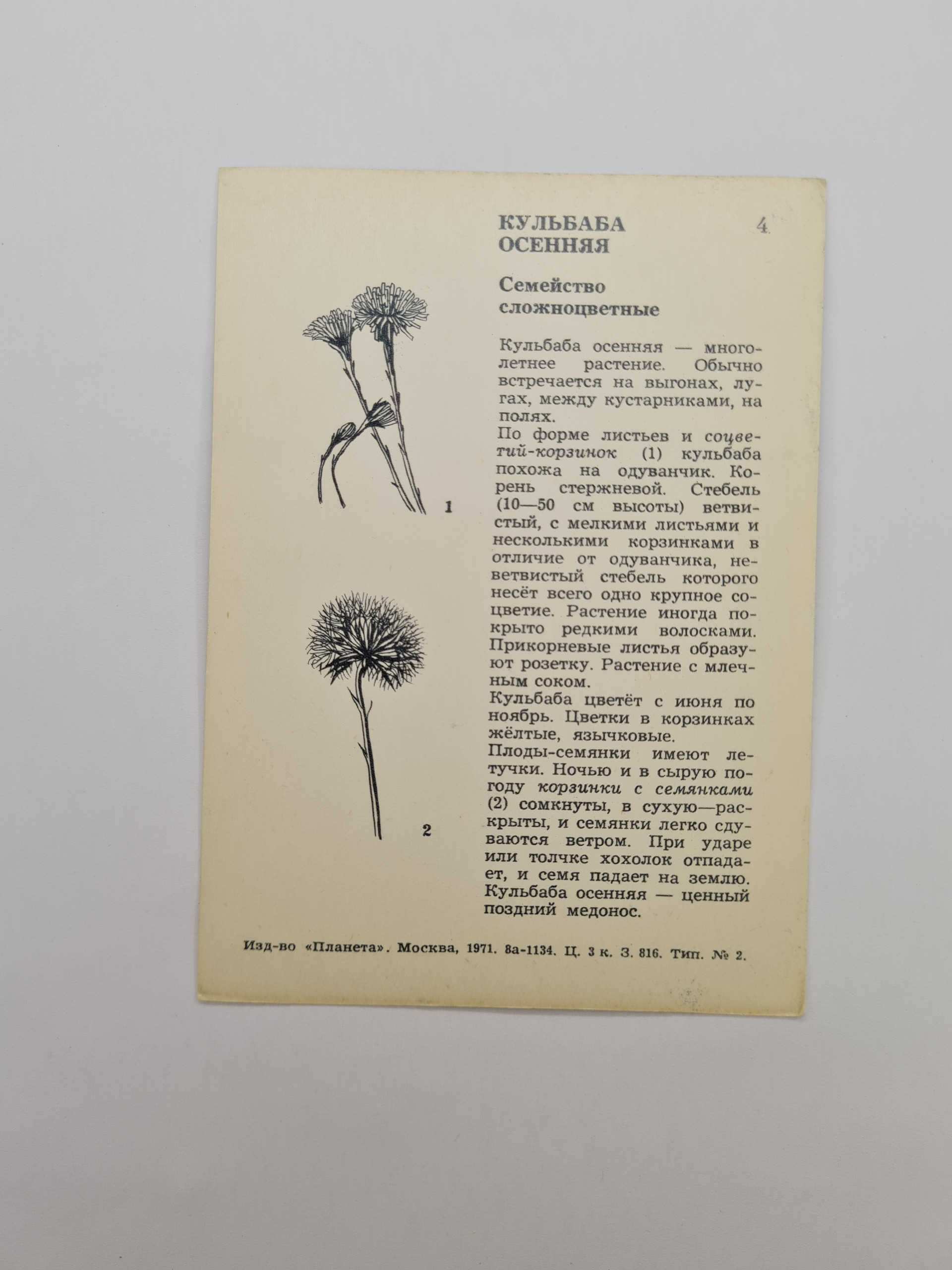 Картинка 2