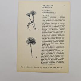 Картинка 2