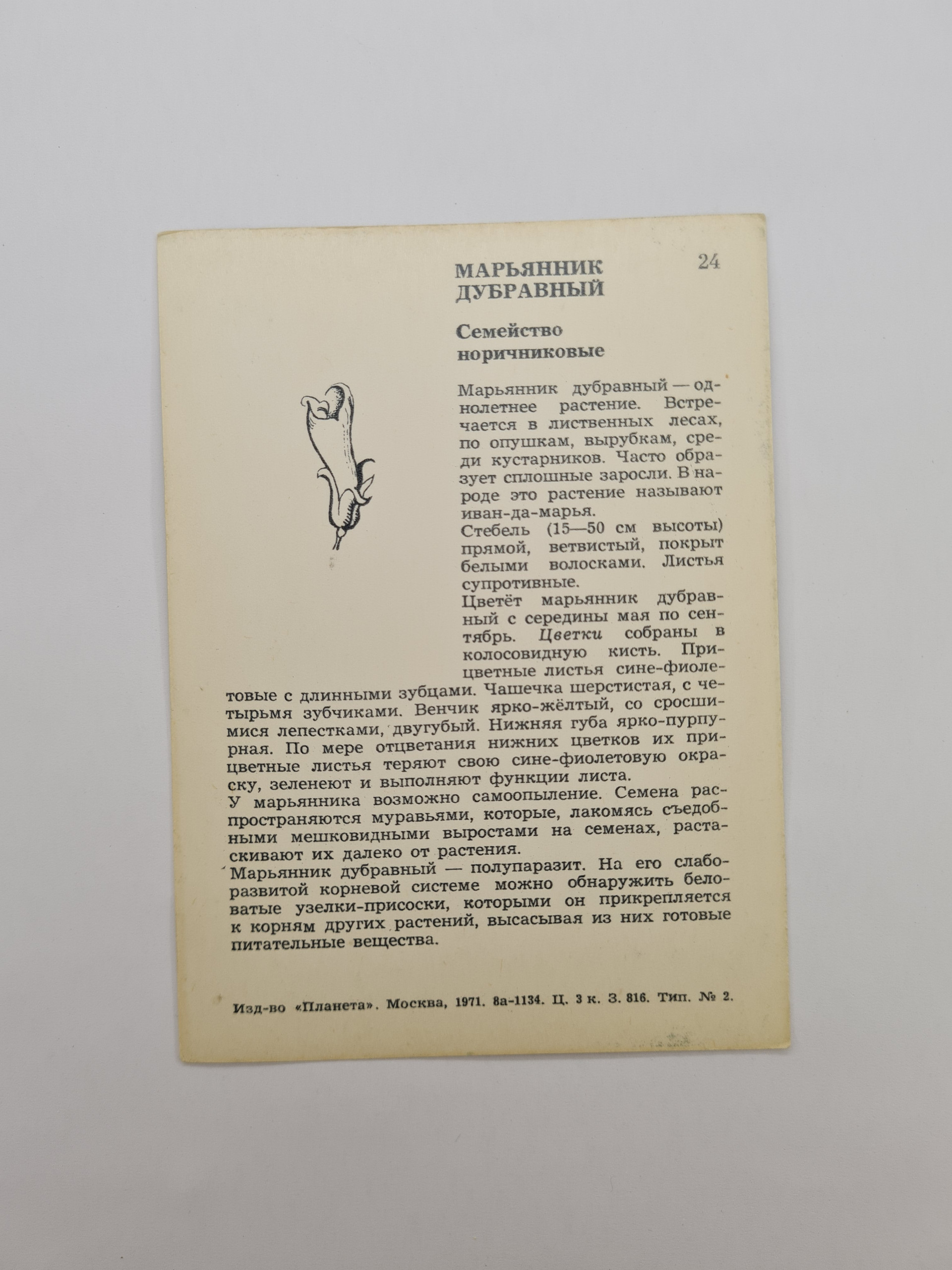 Картинка 2